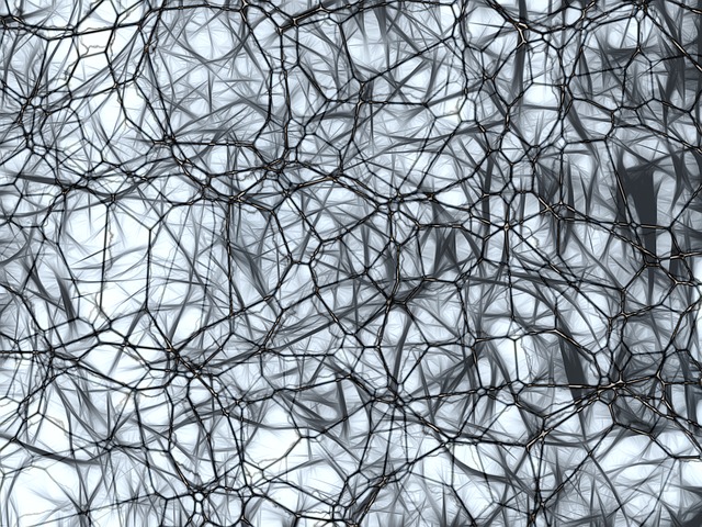 hábitos para proteger la salud cerebral - Hábitos para Proteger la Salud Cerebral: 5 Acciones Diarias para Proteger la Memoria (La Mayoría Hace la #4 al Revés)