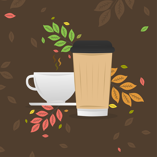 bebidas saludables en lugar de agua - Bebidas saludables en lugar de agua: 7 opciones inteligentes para personas mayores