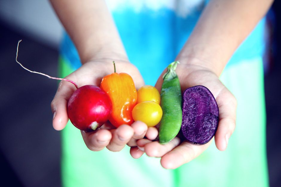 gut health - Gut Health After 60: Foods That May Quietly Fix Bloating